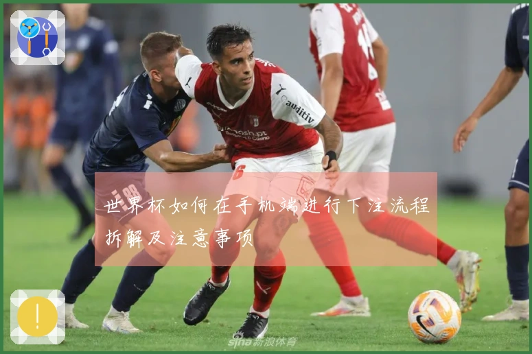 世界杯如何在手机端进行下注流程拆解及注意事项