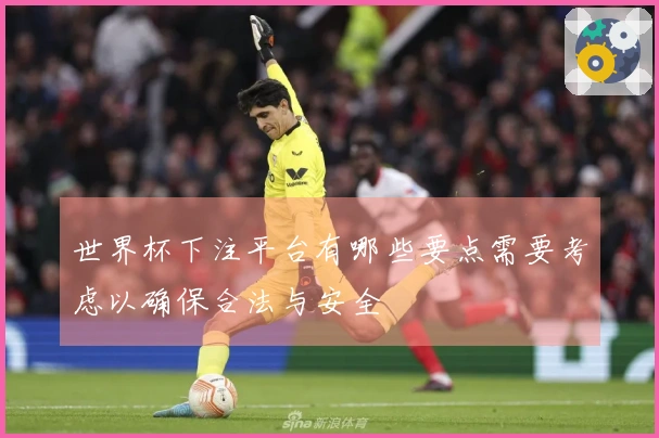 世界杯下注平台有哪些要点需要考虑以确保合法与安全