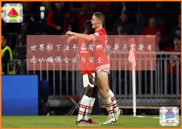 世界杯下注平台有哪些要点需要考虑以确保合法与安全