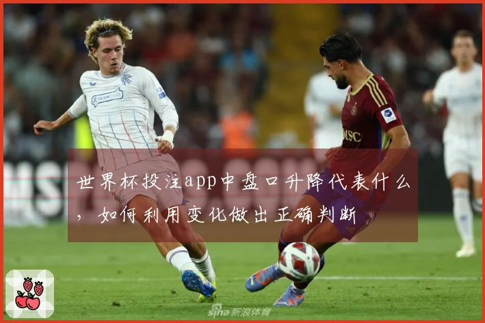 世界杯投注app中盘口升降代表什么，如何利用变化做出正确判断
