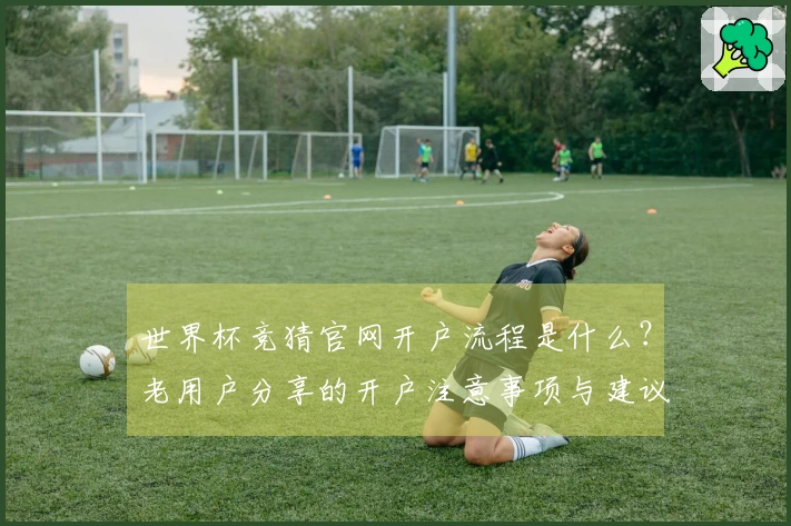 世界杯竞猜官网开户流程是什么？老用户分享的开户注意事项与建议