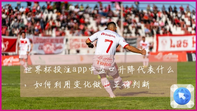 世界杯投注app中盘口升降代表什么，如何利用变化做出正确判断